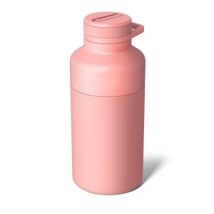Bouteilles d'eau Brumate Rotera 65oz Corail Rose | AEV-852463