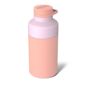 Bouteilles d'eau Brumate Rotera 65oz Orange | ZIG-280951