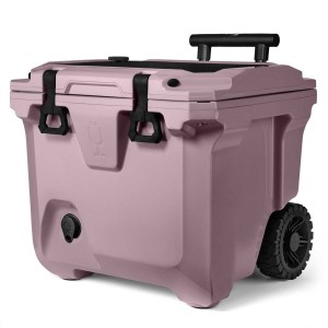 Coolers Brumate Br Violette | LWP-564713